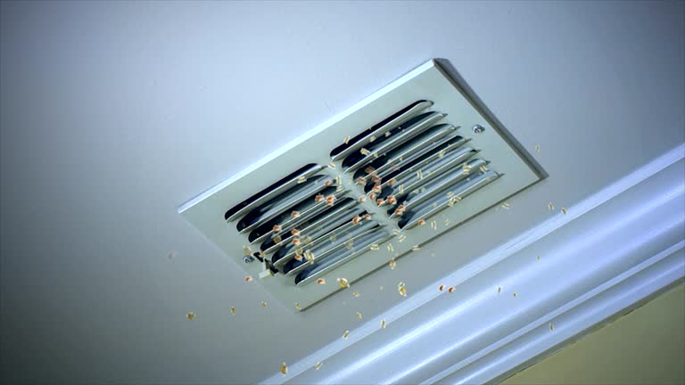 Best Best Air Duct Cleaning Company  in Bangor, ME