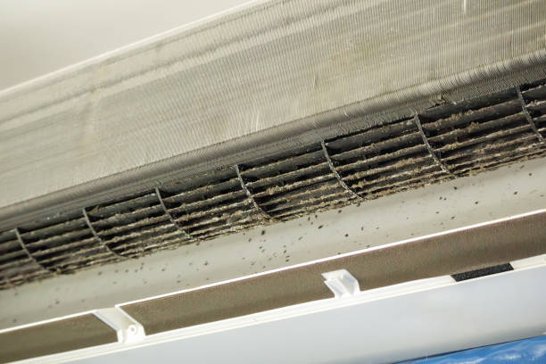 Best Affordable HVAC Duct Cleaning  in Bangor, ME